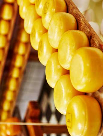 2020 7th China Shanghai International Food Additives and Ingredients Exhibition