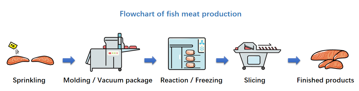 Methods of TG-SF Binding for Seafood Methods of TG-SF Binding for Seafood