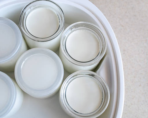 yoghurt-enzymes yoghurt-enzymes