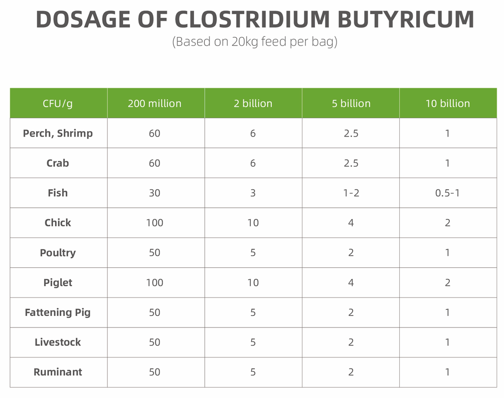 Clostridium_Butyricum--Dosage.png